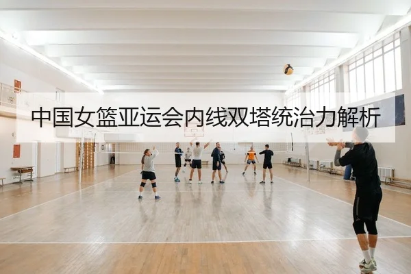zhong-guo-nv-lan-ya-yun-hui-nei-xian-shuang-ta-tong-zhi-li-jie-xi-2-397.jpg